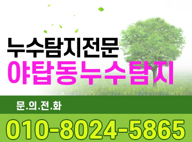 야탑동누수탐지